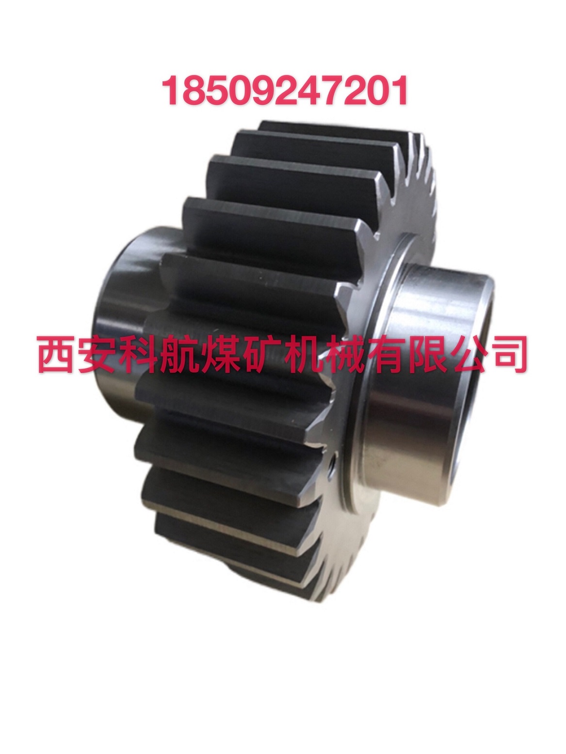 �c���鿴Ԕ��